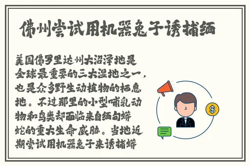 情不自禁HD高清在线播放